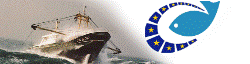 Efice.Com Logo